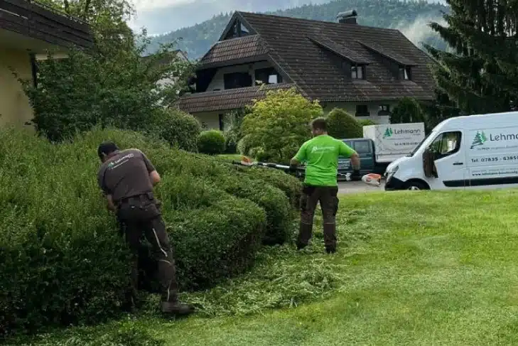 Gartenpflege Leistung