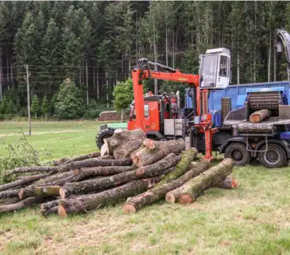 Holztransporter